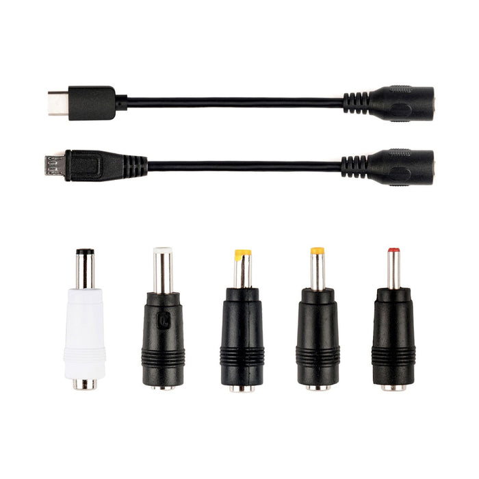 iFi Audio iPower 2 - Power Adapter