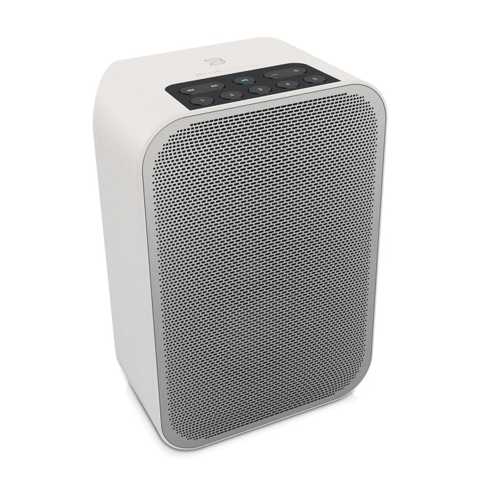 Bluesound Pulse Flex - Portable Wireless Music Streamer