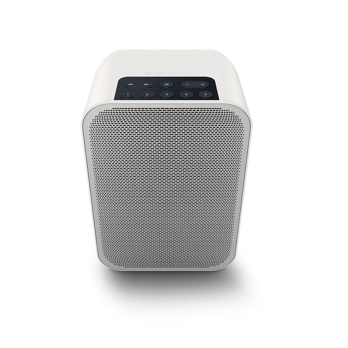 Bluesound Pulse Flex 2i Portable Wireless Streaming Music Player