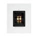 Definitive Technology Demand 11 Bookshelf Speakers