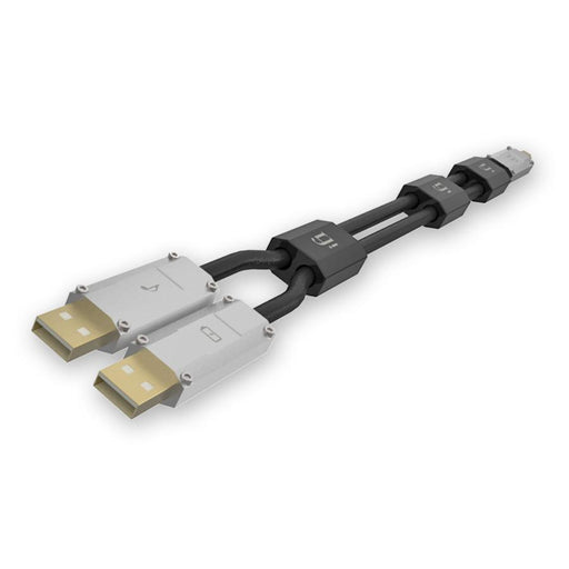 iFi Audio Gemini Dual Power USB Cable