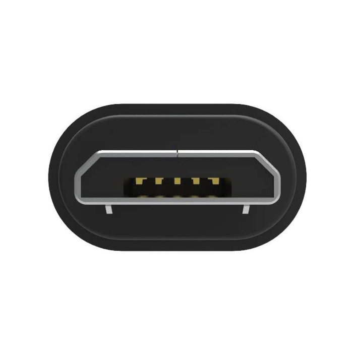 iFi Audio Audiophile Grade OTG Cable